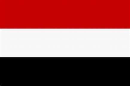 الحكومة اليمنية تدعو كافة الدول الى سرعة التعامل مع هذا الأمر