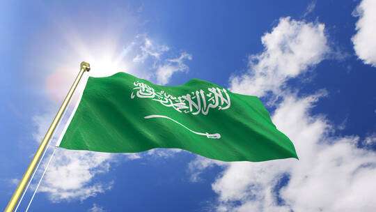 إلغاء 110 صكوك على بحر جدة لأمراء ووزراء ورجال أعمال في السعودية