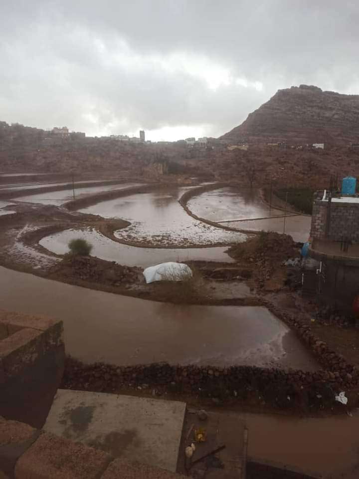 هطول أمطار غزيرة في الضالع(صور)