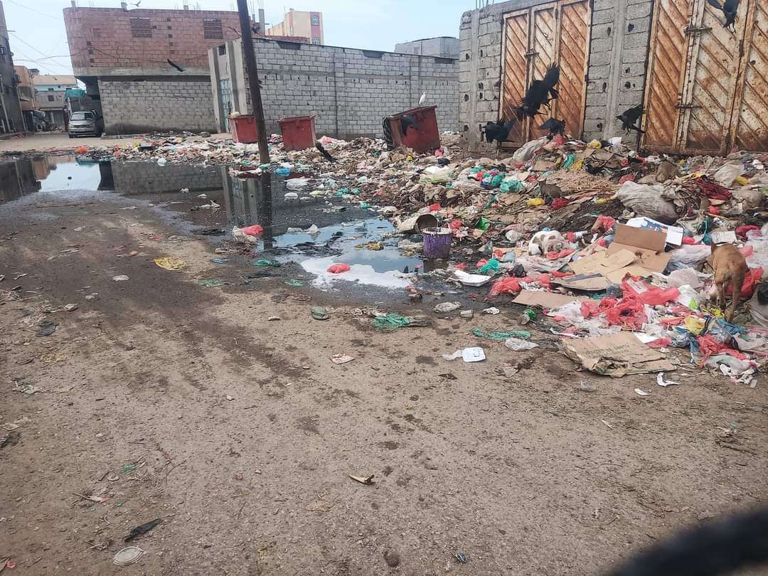 بالصور .. تكدس أكوام القمامة وطفح مياه الصرف الصحي في #زنجبار