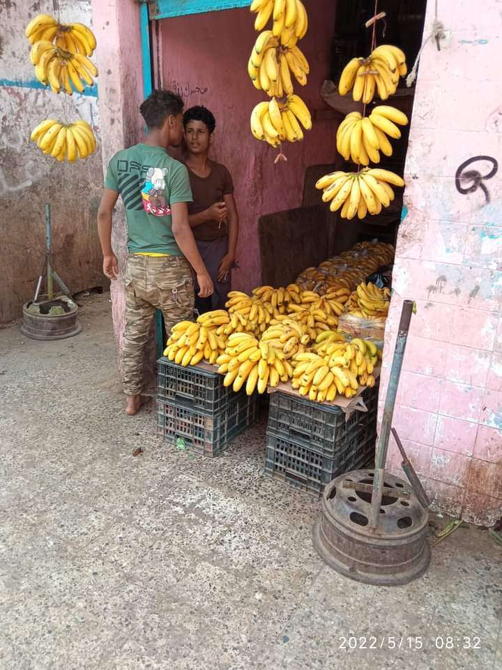 أهالي كريتر يطالبون بتخفيض اسعار الموز أسوة بباقي المديريات