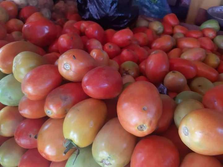 وصول اسعار الطماطم لأسعار قياسية بعدن