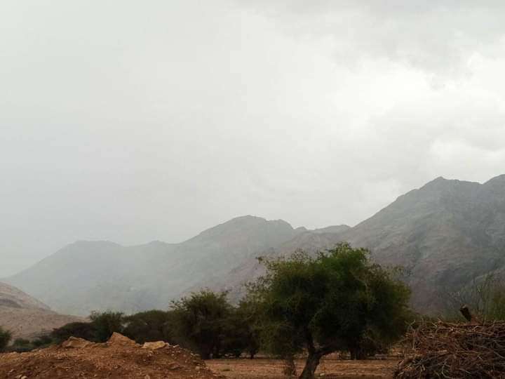 هطول امطار غزيرة على محافظة الجوف(صور)