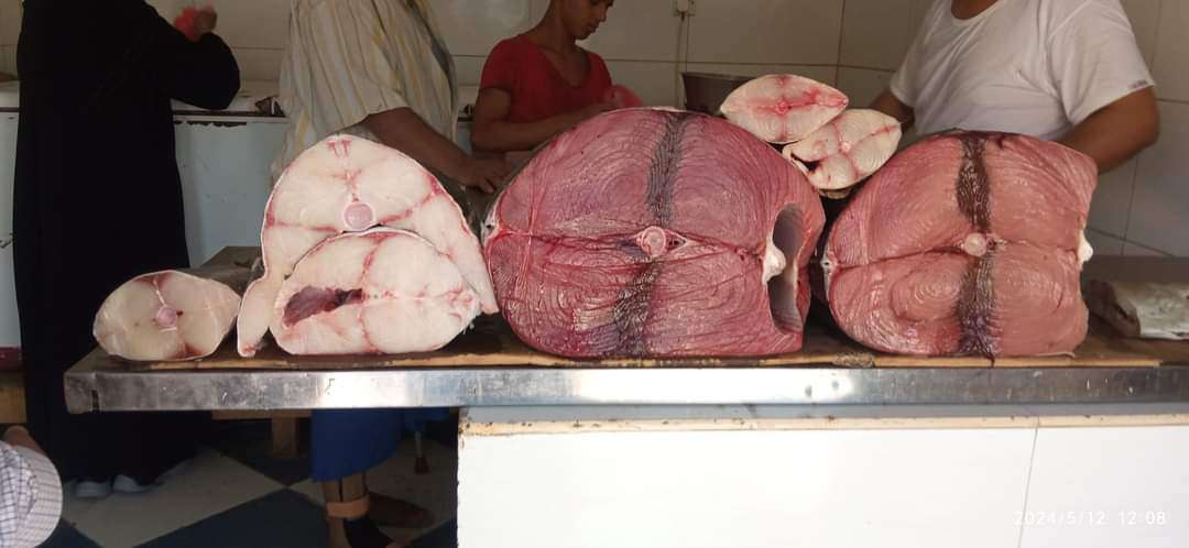 اسعار الأسماك في عدن مساء اليوم