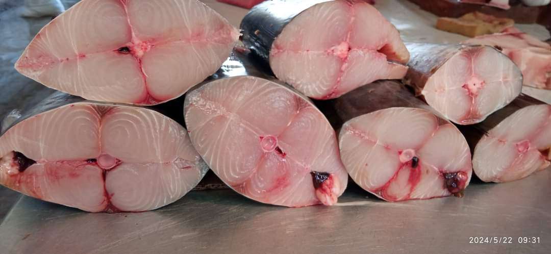 أسعار الأسماك في عدن .. كابوس يؤرق حياة الأهالي