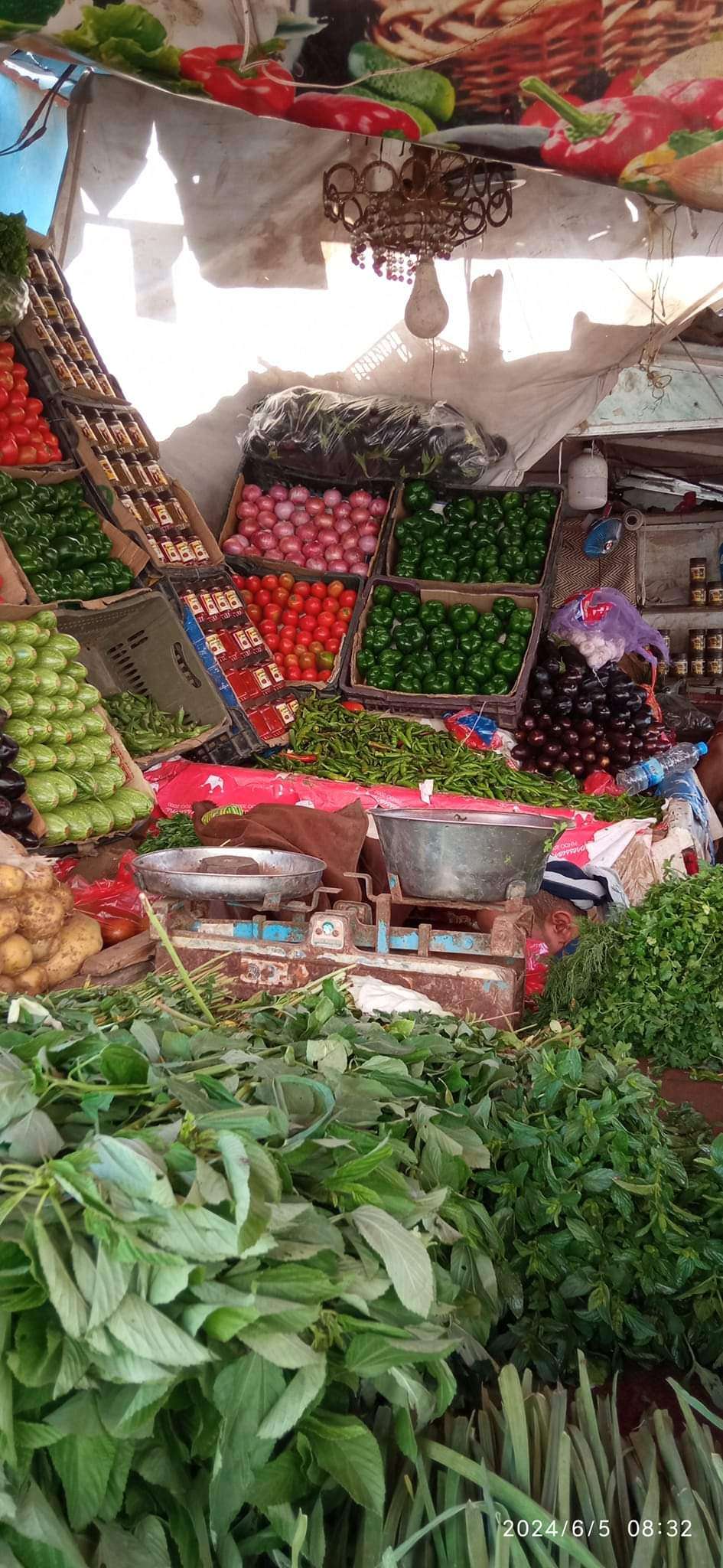 تعرف على أسعار الخضروات في عدن ظهر الأربعاء