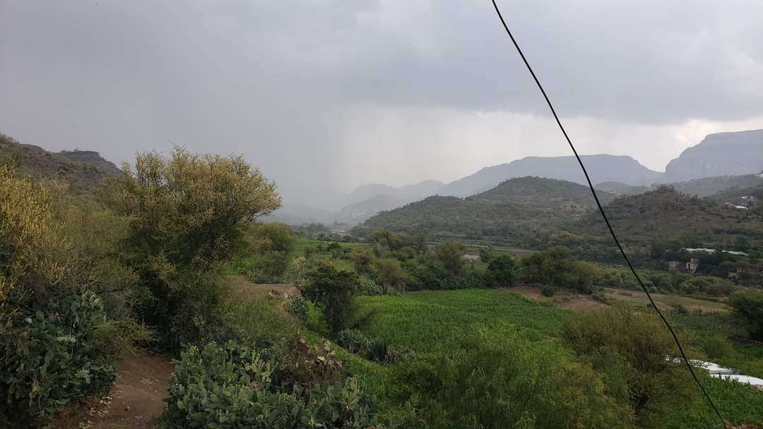 عاجل :هطول أمطار غزيرة على مديرية السدة بإب