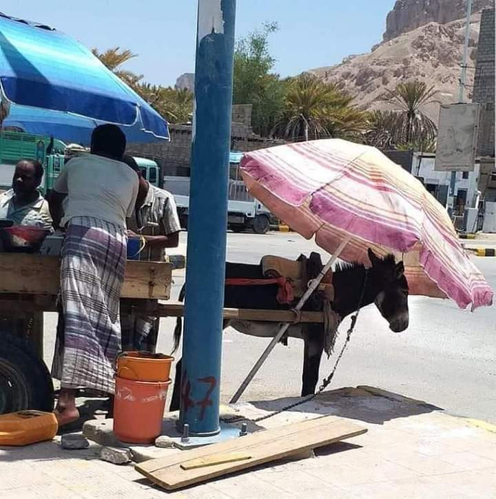 صورة بائع في حضرموت تثير مواقع التواصل الاجتماعي