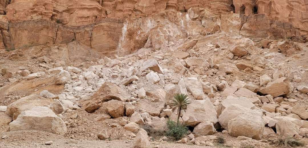 عقب الإنهيار الصخري في حصن .. محافظ حضرموت يوجه بهذا الأمر