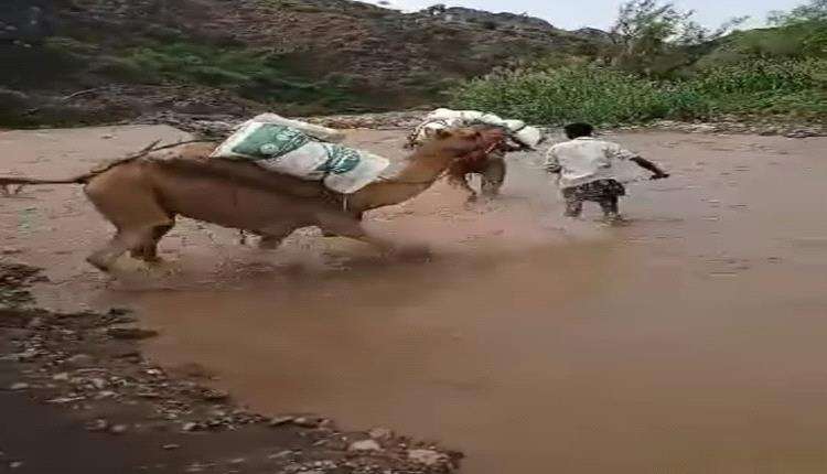 السيول تحاصر الآلاف من المواطنين في مديريتي الازارق والمسيمير