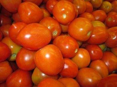 إرتفاع أسعار الطماطم بعدن يرهق الأهالي .. ومواطنون يتساءلون: إلى متى؟