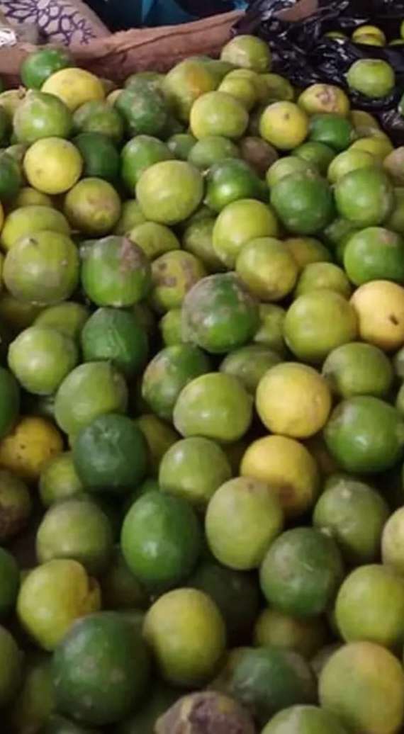 مواطنون يشكون ارتفاع أسعار الليمون في عدن