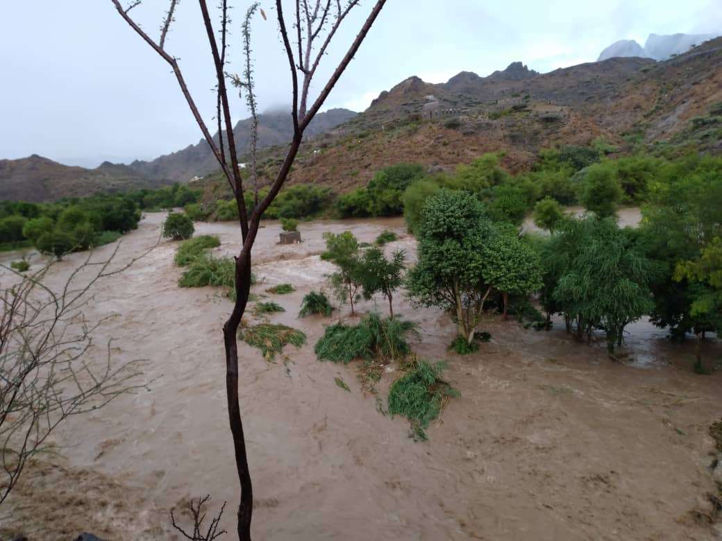 مدير عام المسيمير بلحج : الأمطار والسيول تسببت بأضرار كبيرة في الزراعة والطرقات