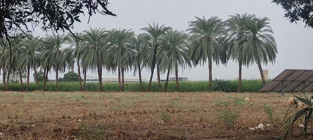 شاهد كيف تبدو مدينة عدن عقب تساقط الامطار قبل قليل