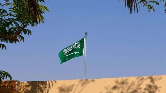 الداخلية السعودية تعلن ضبط شحنة ضخمة من الحبوب المخدرة وتكشف عن جنسيات المتورطين (فيديو)