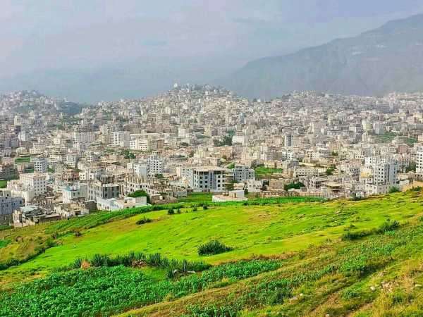 شاهد صورة الشيخين القبليين الذين قتلا في مذيخرة بمحافظة إب